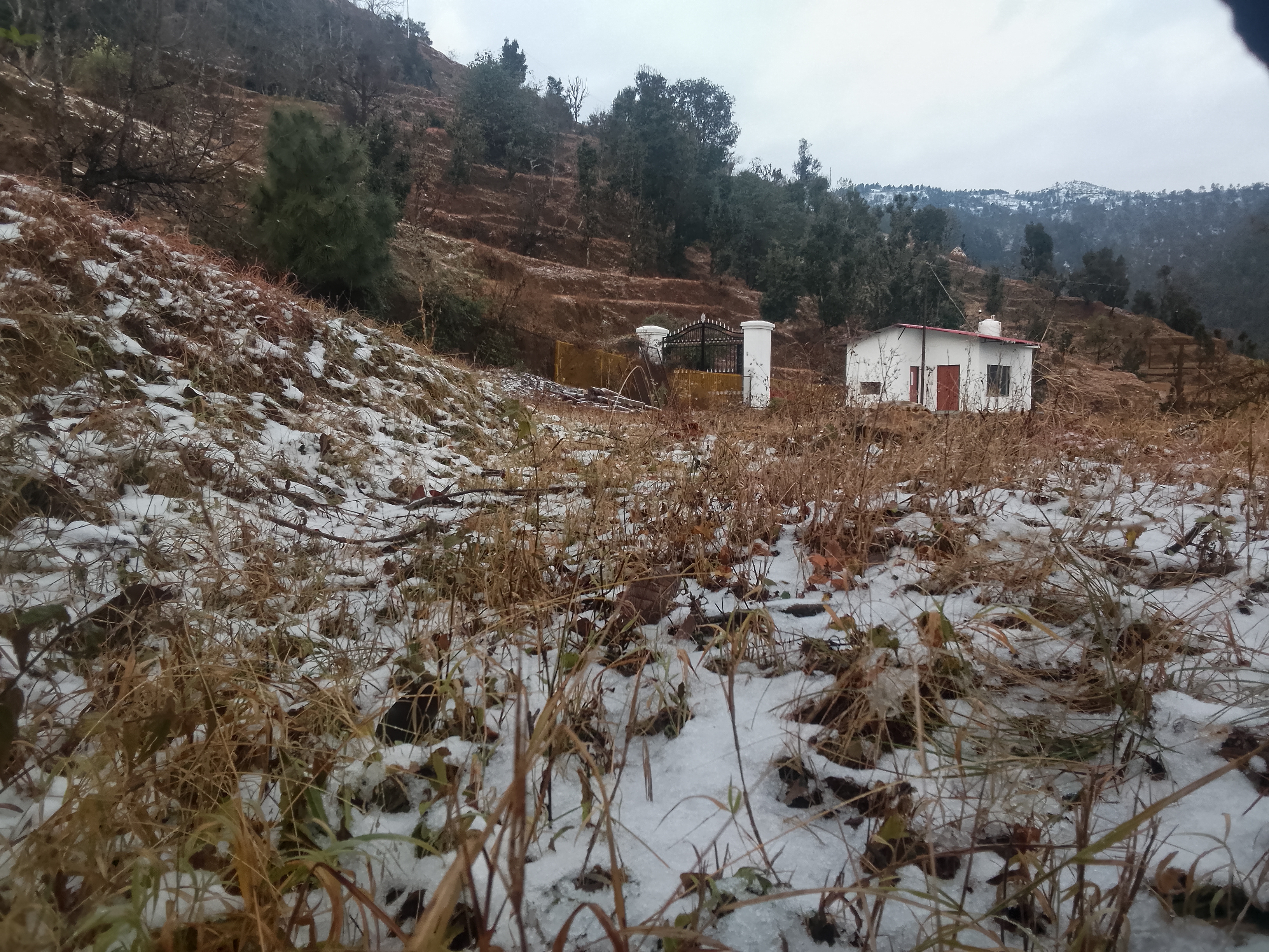 Developed site infrastructure at Mukteshwar project