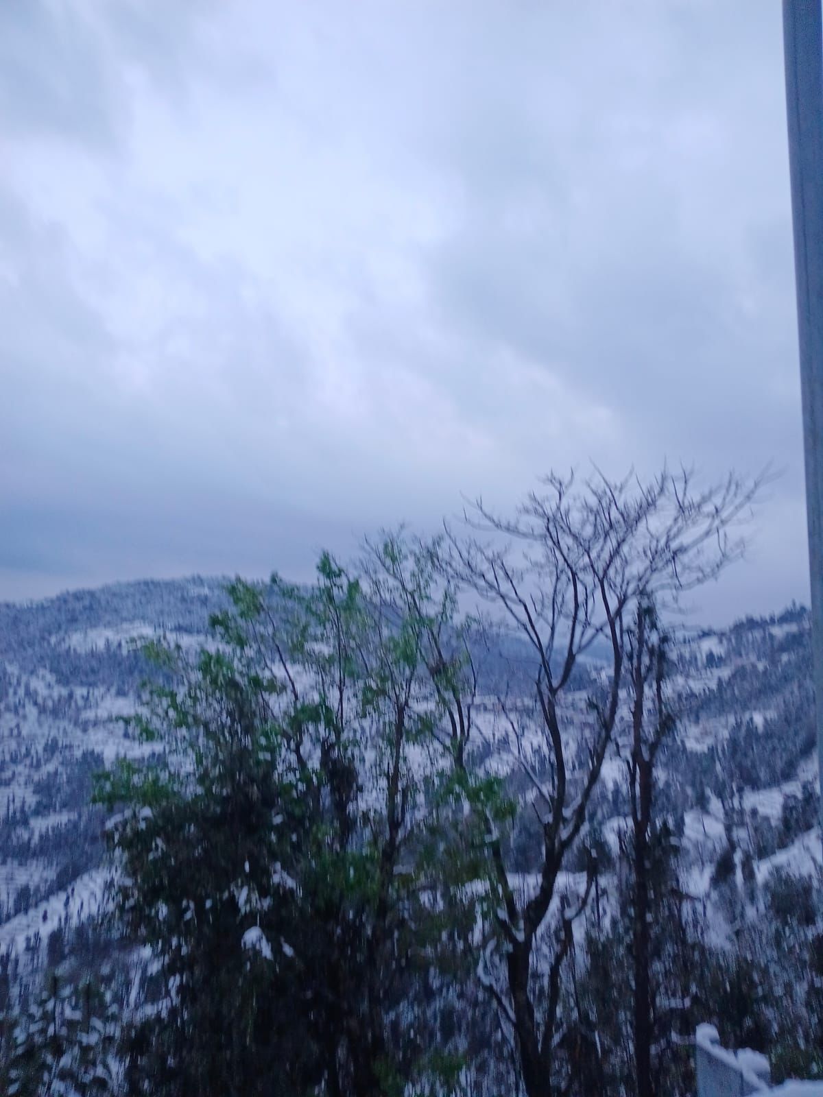 Actual site view of Serenity & Solace Mukteshwar